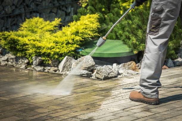 Best Pre-Holiday Cleaning  in Roseville, CA