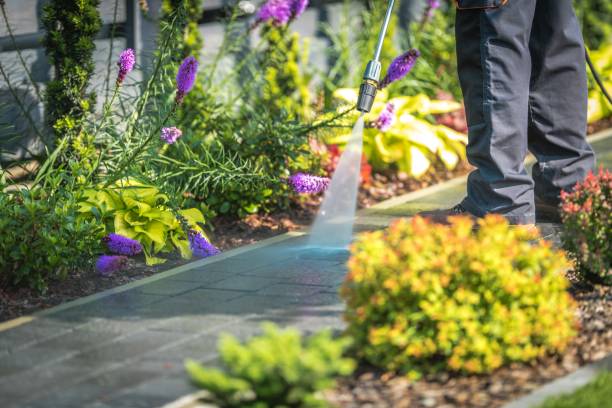 Best Post-Construction Pressure Washing  in Roseville, CA